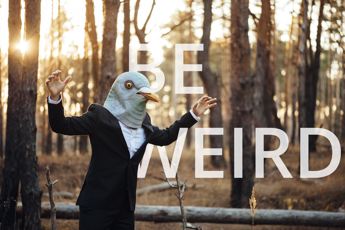 Be Willing To Be Weird