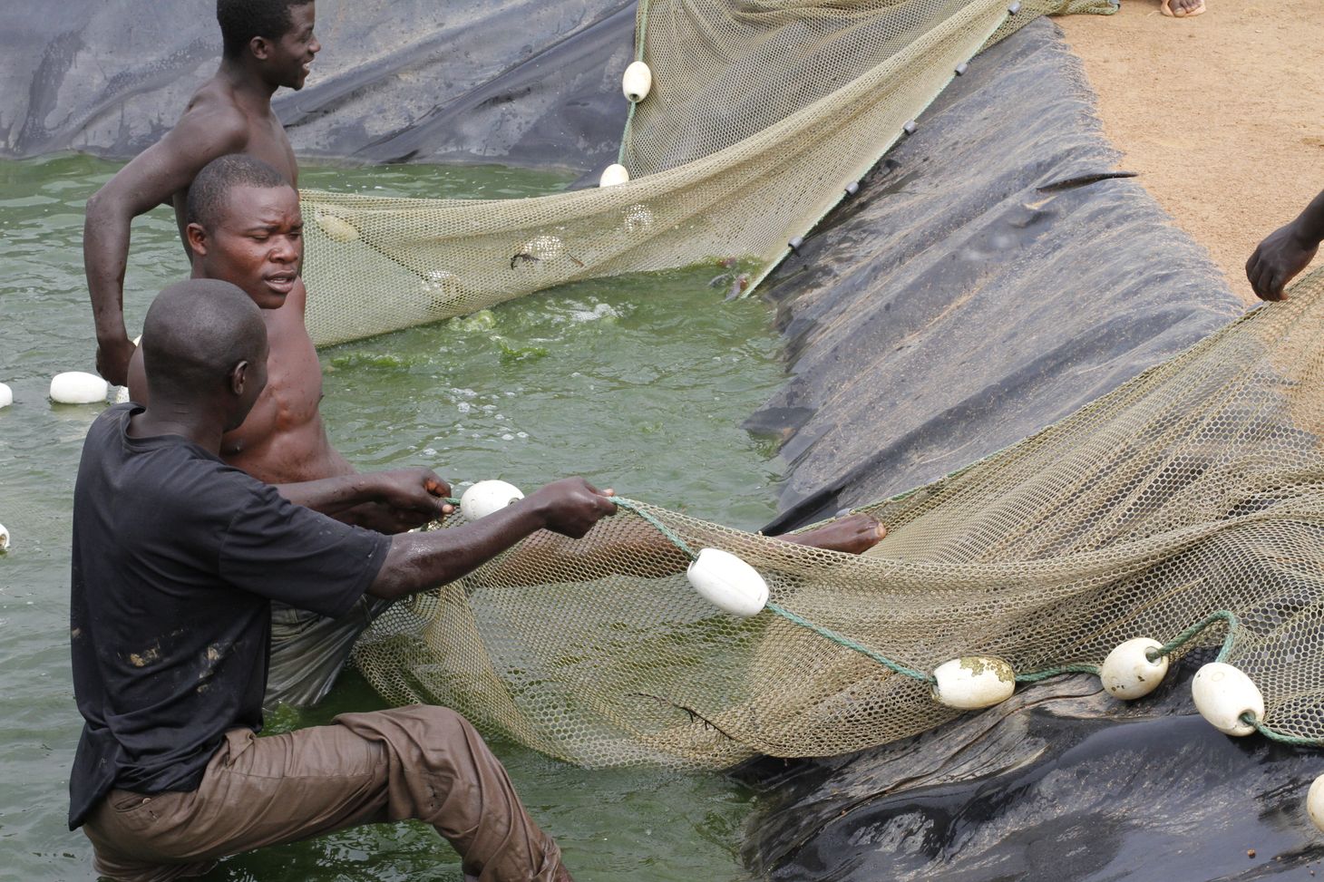 Ingenuity in Africa Rwanda Lakeside Fisk Farm